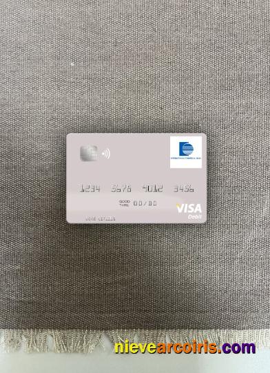 Senegal The International Commercial Bank visa debit card photolook